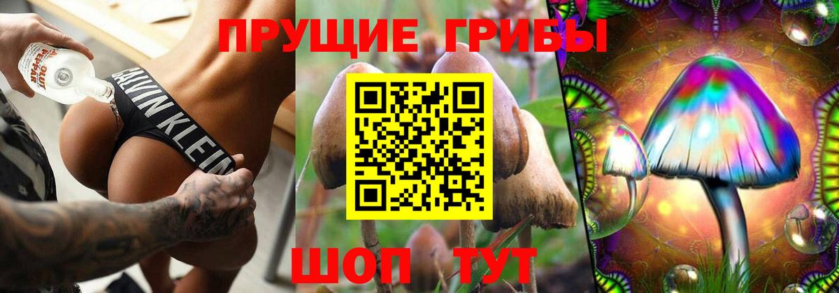 Псилоцибиновые грибы Magic Shrooms Керчь