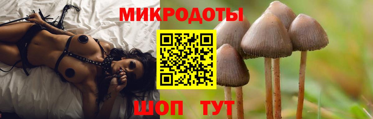 Псилоцибиновые грибы мицелий  Вход с VPN  Керчь 